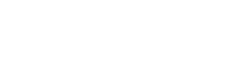 The Hair Lounge